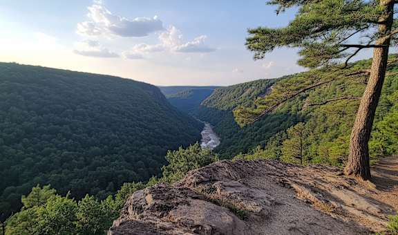 A tree stands on a rocky outcrop overlooking a valley.