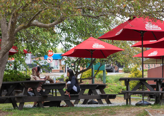 people sitting at picnic tables in a park