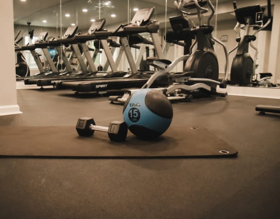 a dumbbell on the floor of a gym