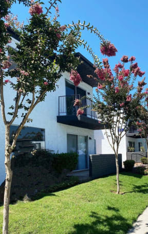 a sidewalk in front of an apartment building with flowering trees at Latitude Apartments at Mission Valley, San Diego, CA