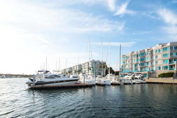 a row of boats docked at a marina with buildings in the background at Esprit Apartments, California