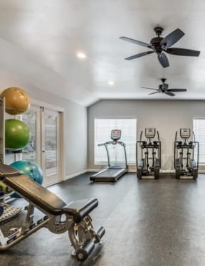 the gym has plenty of cardio equipment and large windows