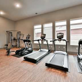 A gym with treadmills, elliptical machines, and other cardio equipment.
