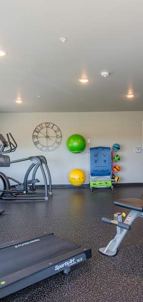 A gym with treadmills, weights, and exercise balls.