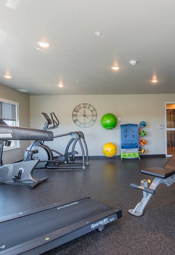 A gym with treadmills, weights, and exercise balls.