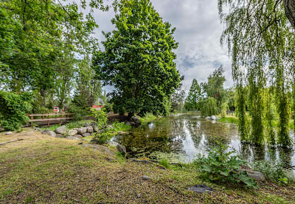 A serene pond surrounded by lush greenery and trees.