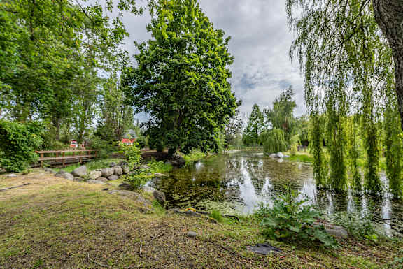 A serene pond surrounded by lush greenery and trees.
