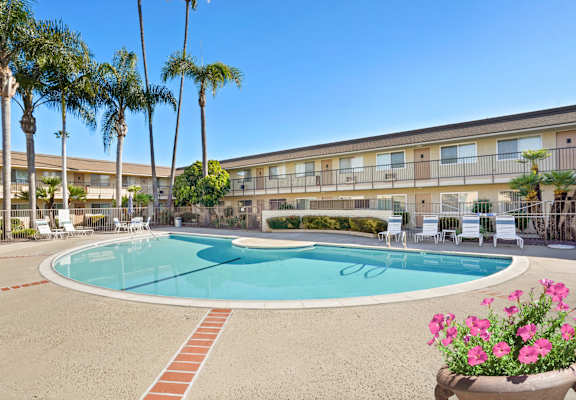 A pool surrounded by palm trees and chairs.