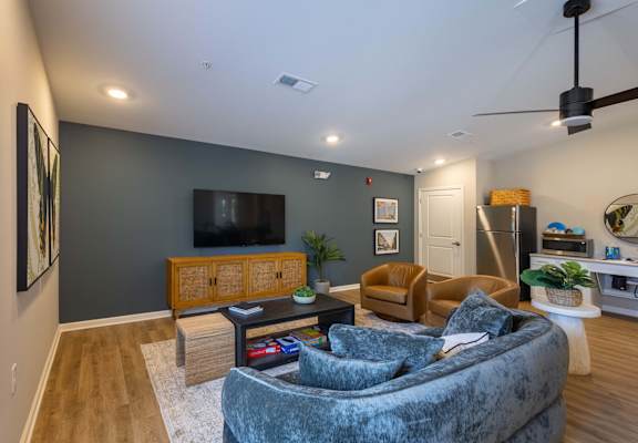 A living room with a grey couch and a television.