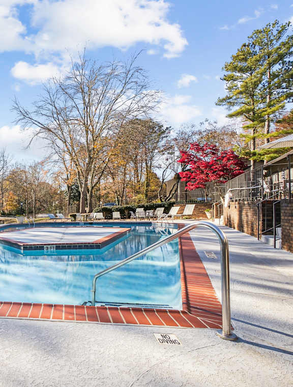 A pool surrounded by trees in a sunny day.