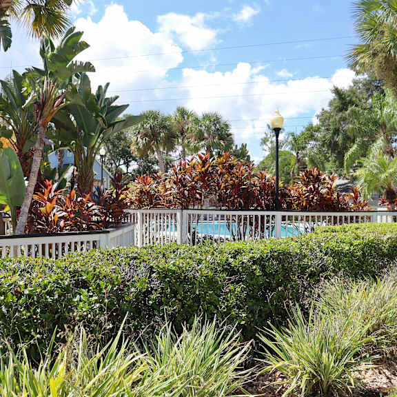 A white fence separates a grassy area from a garden with a variety of plants.