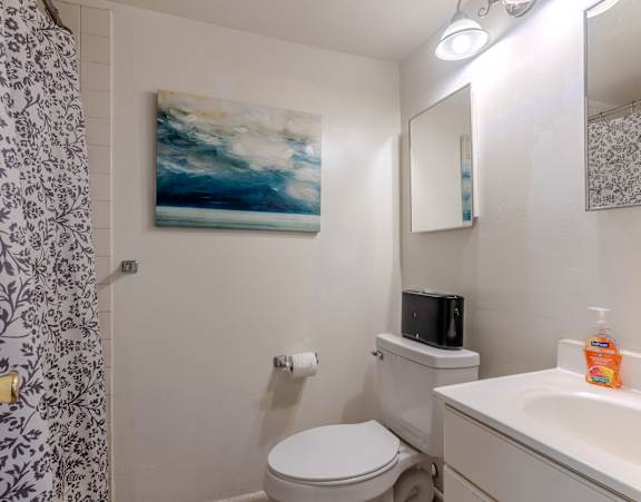 a bathroom with a shower toilet and sink and a mirror