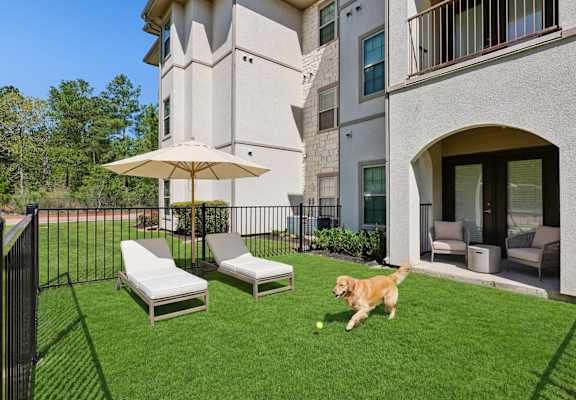 A dog is playing with a ball in a well-manicured lawn.
