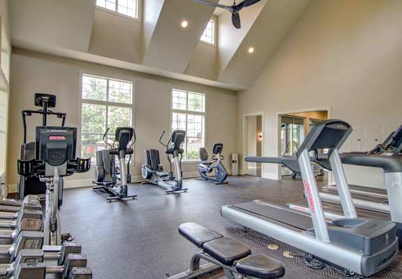 fitness center cardio machines and free weights