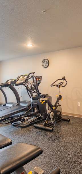 A gym with a treadmill, elliptical machines, and a weight rack.