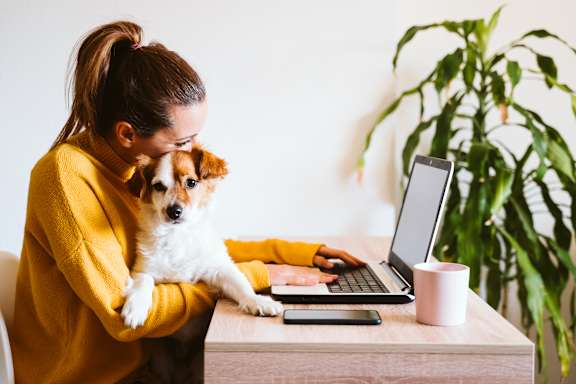A woman in a yellow sweater is working on a laptop with a small dog in her lap.