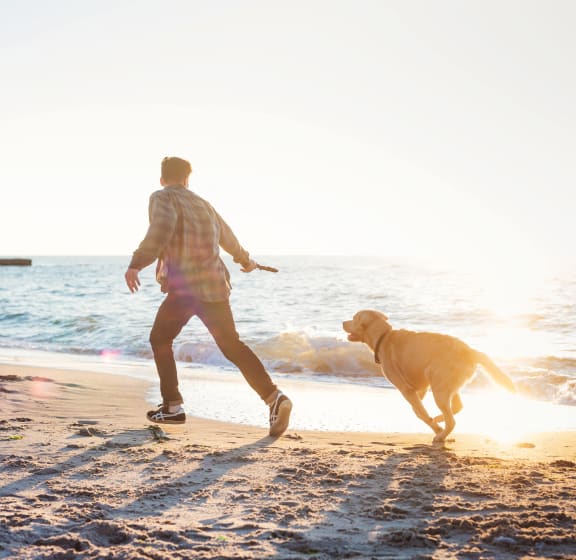 a man running with his dog on the beach at Anchor 532 Luxury Apartments, Vallejo, 94590