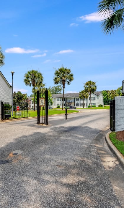 a street with houses on either side and palm trees in the background at Dothan Farms, Dothan, Alabama