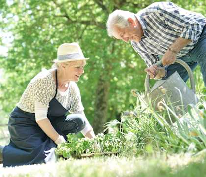 a man and a woman working in a garden