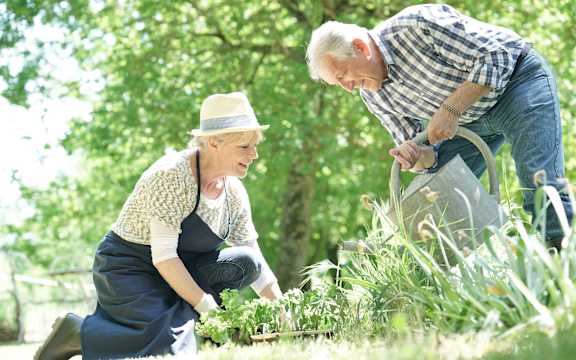 a man and a woman working in a garden