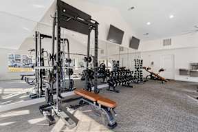 A gym with a variety of equipment including a squat rack, bench, and weights.