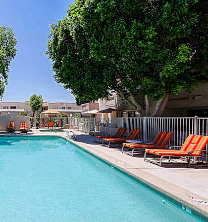 A swimming pool surrounded by trees and chairs.