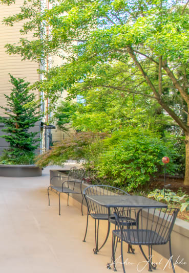 a patio with a table and chairs on the left and trees on the right