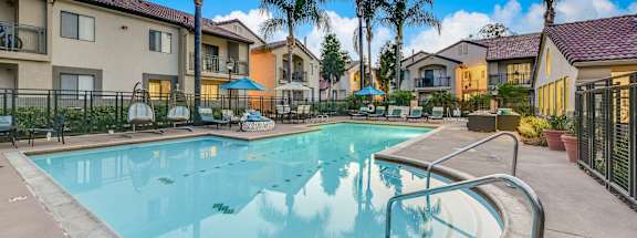 our apartments have a large swimming pool with palm trees
