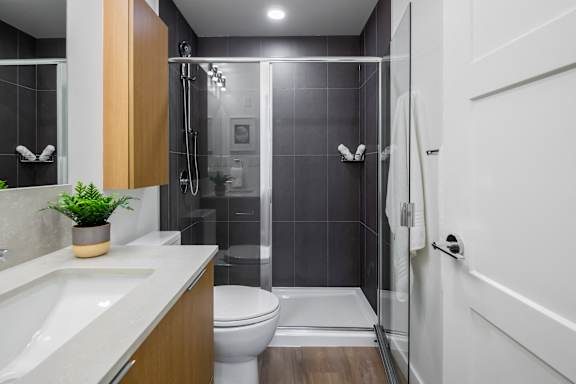 A modern bathroom with a walk-in shower and a toilet.