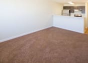 Thumbnail 11 of 11 - Living room with carpet and kitchen