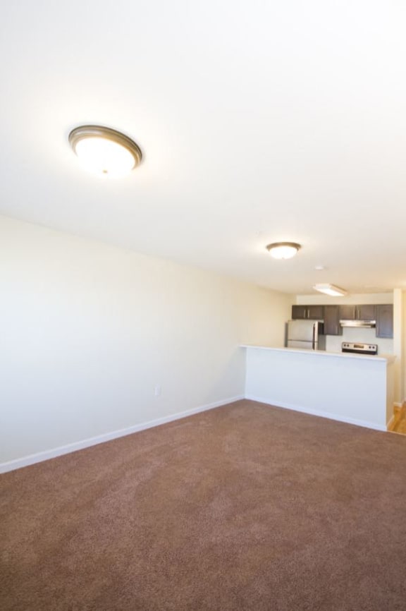 Living room with carpet and kitchen