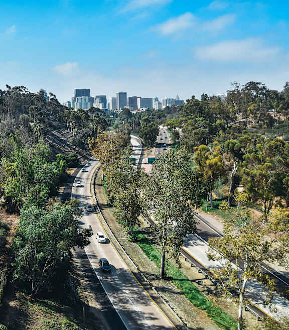 A highway with trees on both sides and a city skyline in the distance.