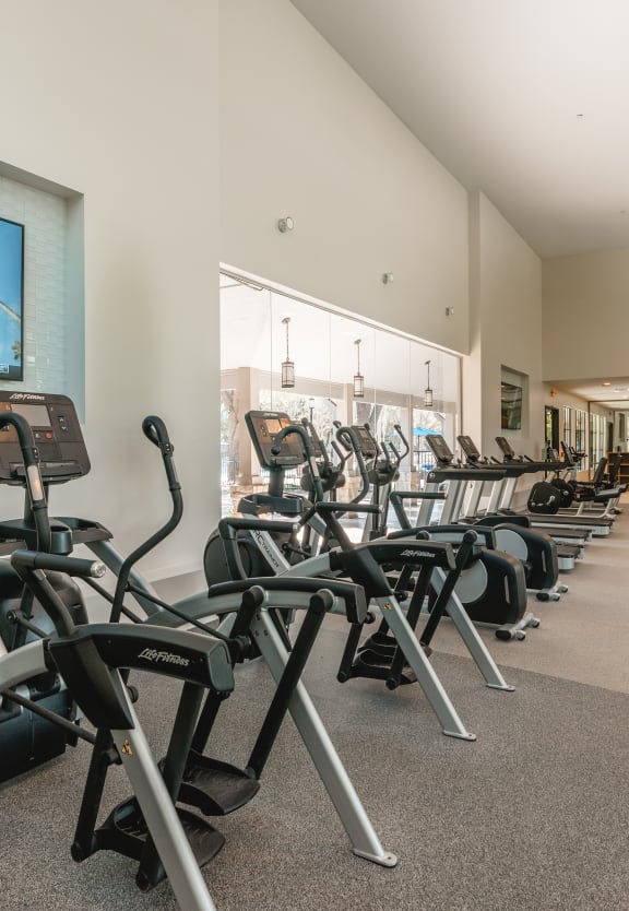 a row of exercise bikes in a gym at Monterey Ranch, Austin, 78749