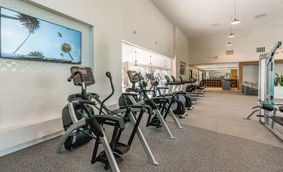 a row of exercise bikes in a gym at Monterey Ranch, Austin, TX, 78749