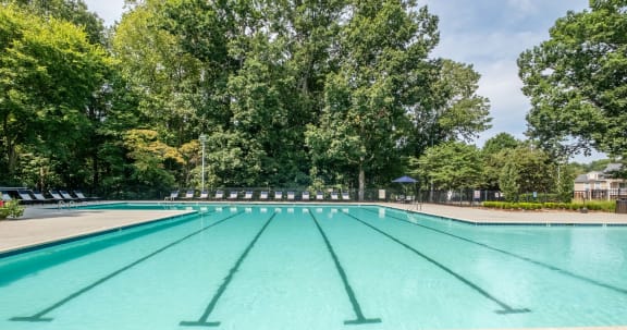 a swimming pool with trees in the background