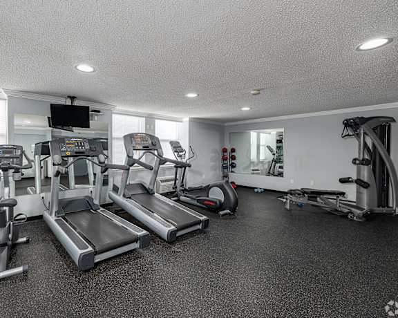 A well-equipped gym with treadmills, exercise bikes, and other cardio machines.