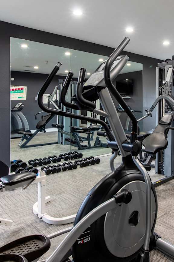 A gym with a variety of equipment including treadmills, stationary bikes, and weight machines.
