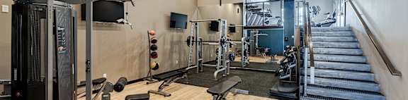 A gym with a variety of equipment including a treadmill, weights, and a bench press.