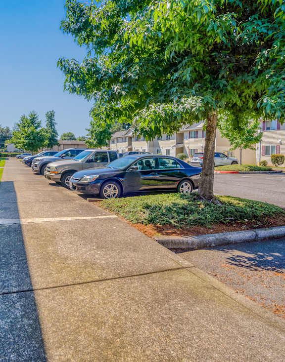 Sidewalk