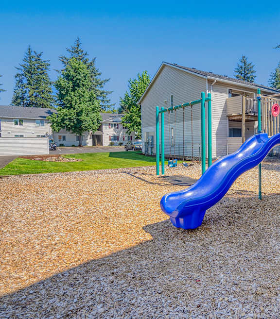 Play Area