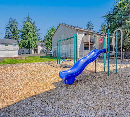 Play Area