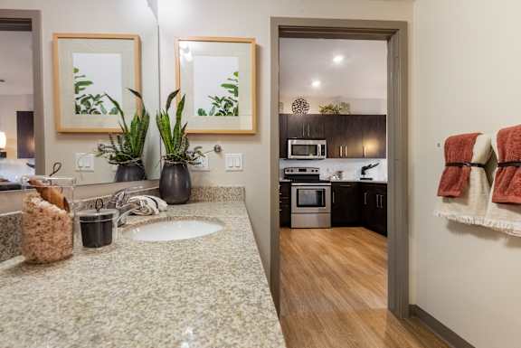 Single Vanity with Ample Counter Space