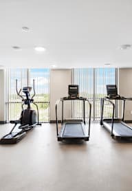 A spacious room with a row of treadmills and elliptical machines.