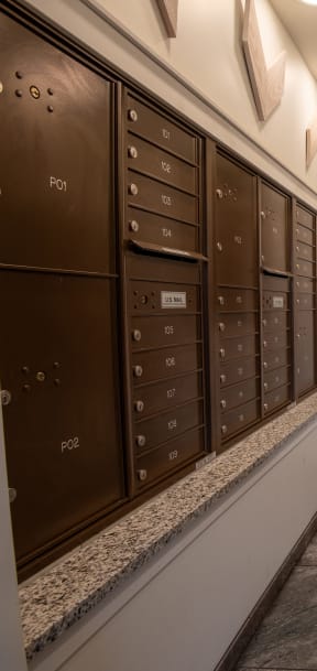 a locker room with wooden lockers and a plant on the wall