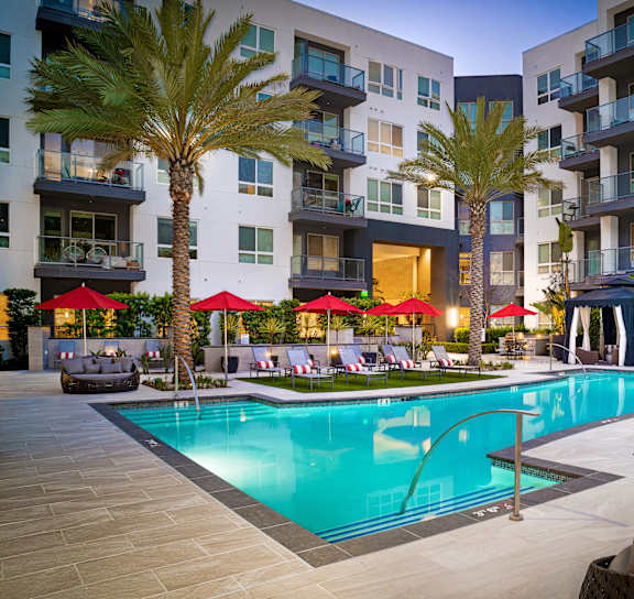 A swimming pool surrounded by palm trees and lounge chairs.