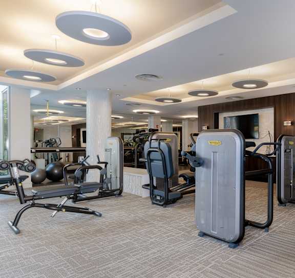 A gym with a variety of equipment including treadmills, weights, and exercise machines.