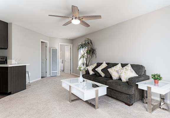 A living room with a grey couch, a ceiling fan, and a potted plant at Village Square, La Jolla, CA