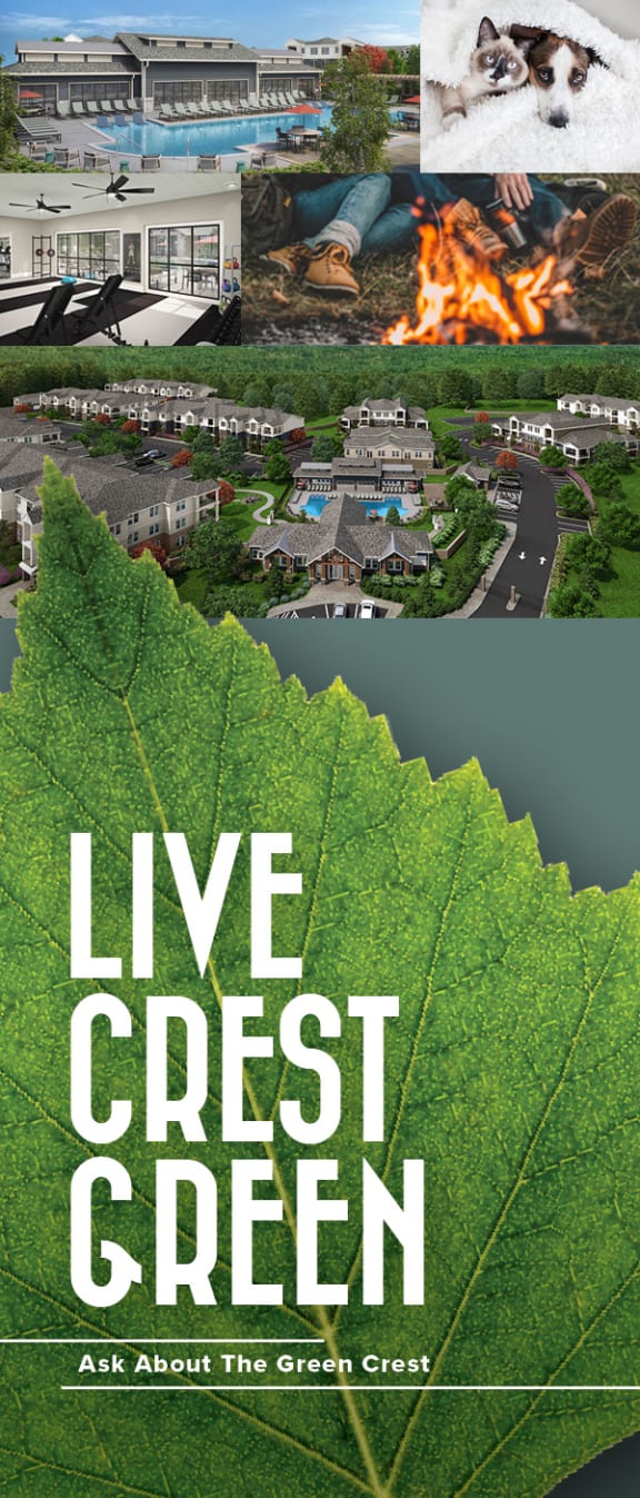 an image of a leaf with the words live crest green on it at The Crest at South Point Apartments, McDonough, Georgia