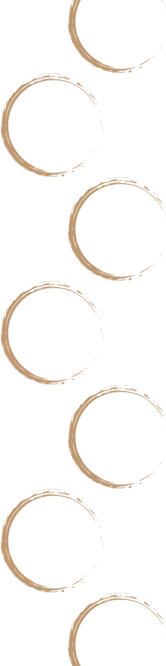 A series of brown, hand-drawn circles.