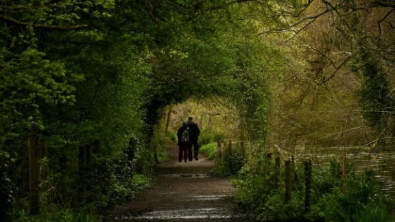 a man and a horse walking down a path